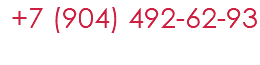  +7 (904) 492-62-93
